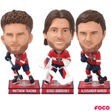 Florida Panthers 2024 Stanley Cup Champions Bobbleheads