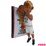 Chicago Bulls Dennis Rodman Bobblehead