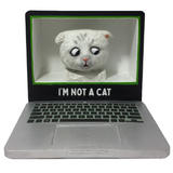 "I'm Not A Cat" Meme Bobbleheads