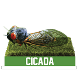 Cicada Bobblehead (Presale)