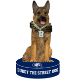 Buddy the Street Dog Queens University of Charlotte Bobblehead (Presale)