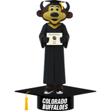 Chip the Buffalo Colorado Buffaloes Mascot Graduation Bobblehead (Presale)