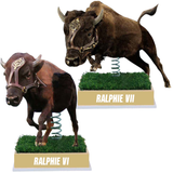 Colorado Buffaloes Live Mascot Bobblehead Set (Presale)