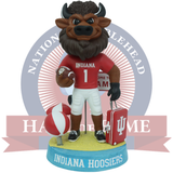 Indiana Hoosiers Hoosier the Bison Welcome to Miami Bobblehead (Presale)