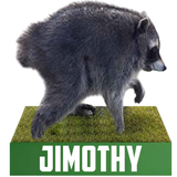 Jimothy the Raccoon Bobblehead (Presale)
