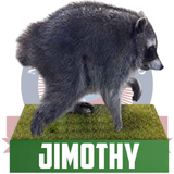 Jimothy the Raccoon Bobblehead (Presale)