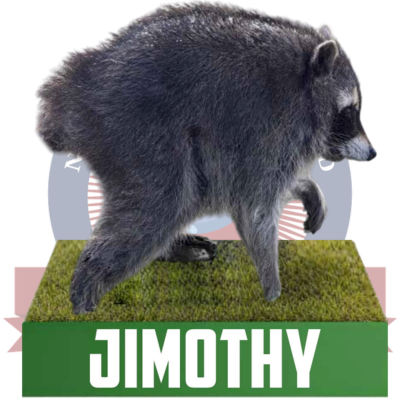 Jimothy the Raccoon Bobblehead (Presale)