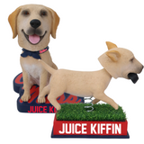 Juice Kiffin Ole Miss Rebels Bobbleheads (Presale)