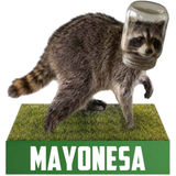 Mayonesa the Raccoon Bobblehead (Presale)