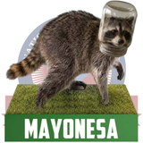 Mayonesa the Raccoon Bobblehead (Presale)