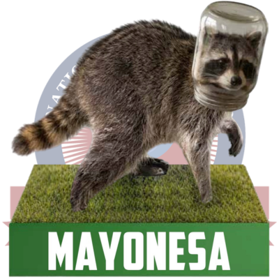 Mayonesa the Raccoon Bobblehead (Presale)