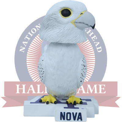 Nova Air Force Falcons Live Falcon Bobblehead