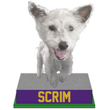 Scrim Bobblehead (Presale)