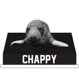 New Haven Seal Chappy Bobblehead (Presale)