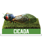 Cicada Bobblehead (Presale)