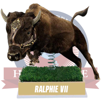 Ralphie VII Colorado Buffaloes Live Mascot Bobblehead (Presale)