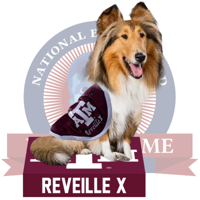 Reveille X Texas A&M Aggies Live Dog Bobblehead (Presale) – National ...