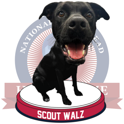 Scout Walz Bobblehead (Presale)