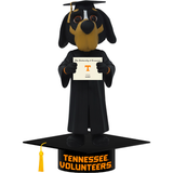 Smokey Tennessee Volunteers Mascot Graduation Bobblehead (Presale)