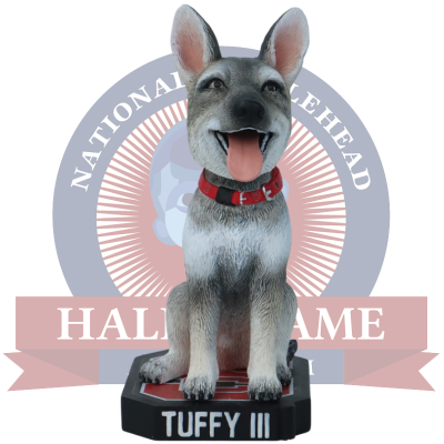 Tuffy III North Carolina State Wolfpack Live Dog Bobblehead (Presale)