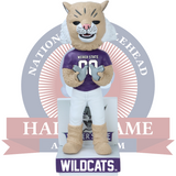 Waldo the Wildcat Weber State Wildcats Mascot Bobblehead