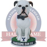 Handsome Dan XIX Yale Bulldogs Live Bulldog Bobblehead (Presale)