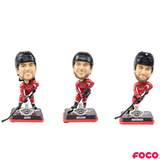 Washington Capitals 2018 Stanley Cup Champions Bobbleheads