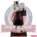 Graduation Mascot Bobbleheads (Presale) - National Bobblehead HOF Store