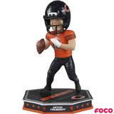 Removable Helmet Bobbleheads