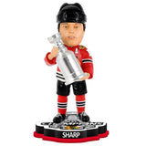 Chicago Blackhawks 2015 Stanley Cup Champions Bobbleheads